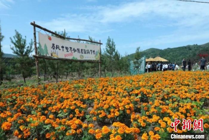 旅拍、特色民宿 在山西昔阳感受农文旅新场景