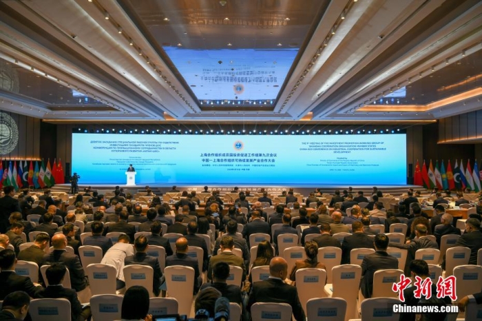 2024年中国与上合组织各方贸易额达8900亿美元